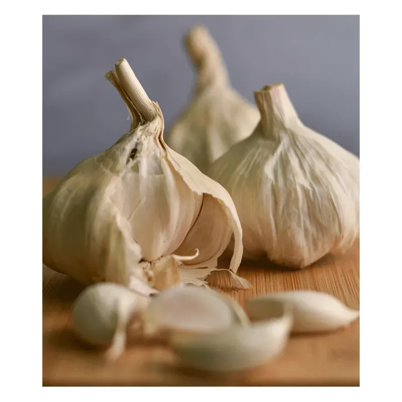Flash Sale Épices du Monde Ail semoule