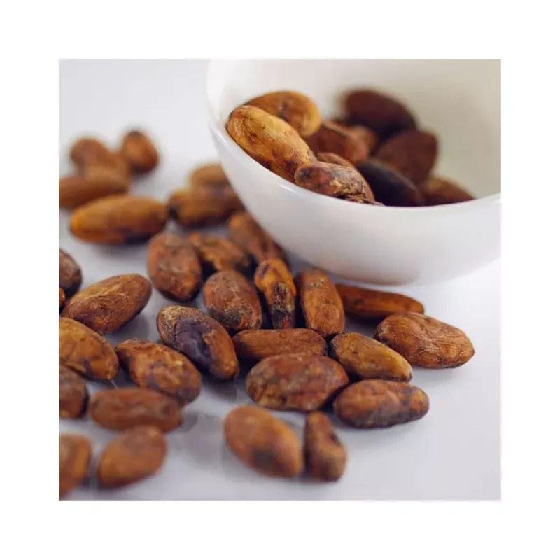 Shop Épices du Monde Fève de Cacao entière